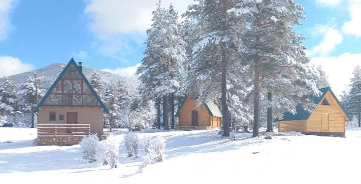 Chalet Cilac Žabljak Kültér fotó